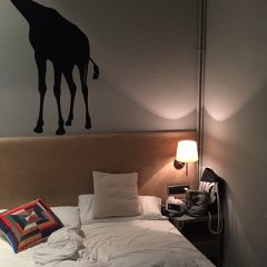 IMG 387